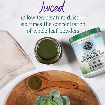 Garden of Life Raw Organic Perfect Food Alkalizer and Detoxifier,Lemon Ginger Flavored Superfood Powder Supplement,30 Servings,(Pack of 2)