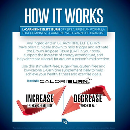 L-Carnitine Elite Burn Liquid Keto Fat Burner and Metabolism Activator - Fat Loss Support Keto Friendly Weight Loss Increase Energy-Stimulant Free - Rainbow Candy 3000mg (32 Servings)