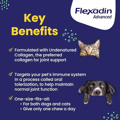 Vetoquinol Flexadin Advanced Hip and Joint Supplement with Undenatured Collagen for Dogs, One Chew a Day Hip and Joint Support Chew for Dogs and Cats, Clinically Proven Vet-Approved Formula, 60 Chews