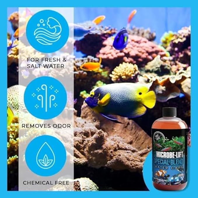 MICROBE-LIFT Special Blend Aquarium Treatment, Fish Tank Water Conditioner for Freshwater and Saltwater Tanks, Helps with Aquarium Algae Control and Odor, 1 Gallon (SBHG1)