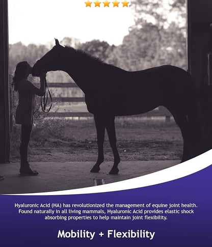 Hyalogic Hyalun Pro 30 - Hyaluronic Acid Joint Support Supplement for Horses – Horse Care Solution with Easy-to-Use Oral Dispenser – Supports Healthy Joints & Cartilage - 30-Day Supply (3oz / 90ml)