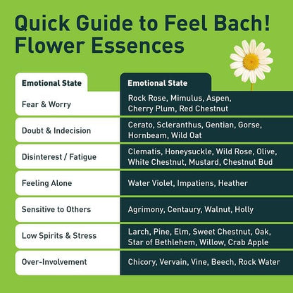 Feel Bach! FeelFive Remedy - Natural Homeopathic Flower Essences for Fast Emergency Support, Relief of Fear, Worry and New Adoption, Vegan, Gluten & Sugar-Free, Non-Habit Forming, 20ml (0.7 fl oz)
