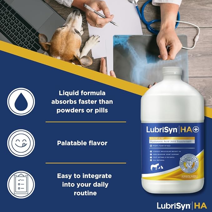 LubriSynHA Hyaluronic Acid with MSM Hip & Joint Care Supplement for Dogs, Cats & Horses – Liquid Oral HA for Pets – Joint Support Promotes Mobility, Flexibility, Cartilage Health & Comfort – 128oz