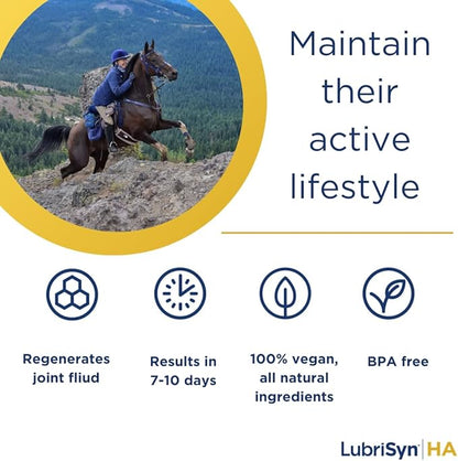 LubriSynHA Hyaluronic Acid Hip & Joint Care Supplement for Dogs, Cats & Horses – Liquid Oral HA for Pets – Joint Support Supplement Promotes Mobility, Flexibility, Cartilage Health & Comfort – 64oz