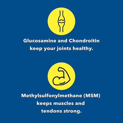Glucosamine Chondroitin MSM Supplement for Joint & Bone Health - 120 Capsules | Joint Support & Discomfort Relief for Back, Knees, Hands