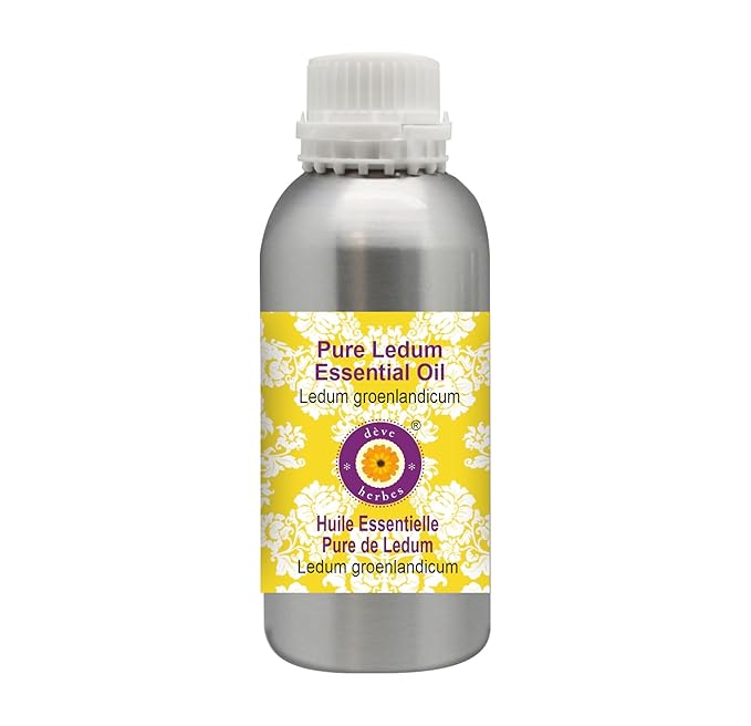 Deve Herbes Pure Ledum Essential Oil (Ledum groenlandicum) Steam Distilled 300ml (10 oz)