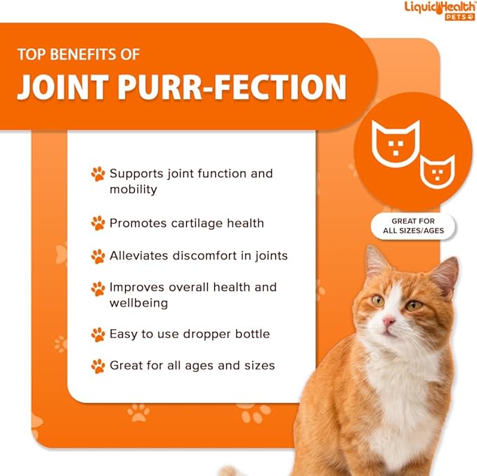 LIQUIDHEALTH Pets Liquid Cat Glucosamine Joint Purr-Fection - Hip & Joint Health Relief Support, Chondroitin Feline Droppers for Senior Older Adult Cats & Kittens - Made in the USA (3 Pack)