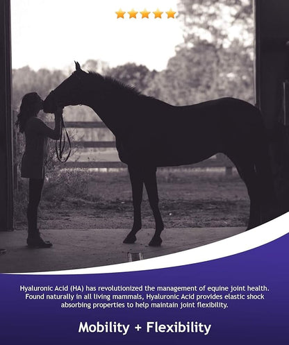 Hyalogic Hyalun Pro 30 - Hyaluronic Acid Joint Support Supplement for Horses – Horse Care Solution with Easy-to-Use Oral Dispenser – Supports Healthy Joints & Cartilage - 30-Day Supply (3oz / 90ml)