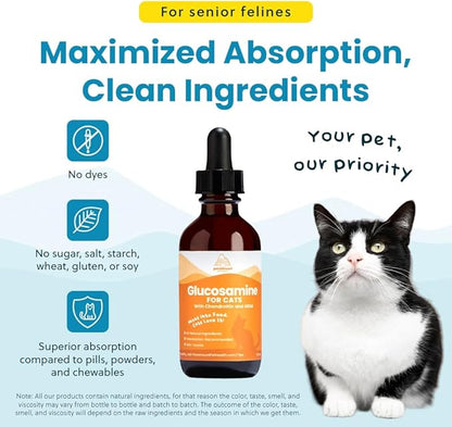 Paramount Pet Health Liquid Glucosamine Chondroitin MSM for Cats, Hip & Joint Support Supplement, Supports Mobility and Flexibility, Senior Cat Liquid Joint Supplement Drops for Daily Care, 2 oz