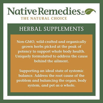 Native Remedies UTI-Clear Urinary Tract and Bladder Health Natural Herbal Supplement, 2-Pack