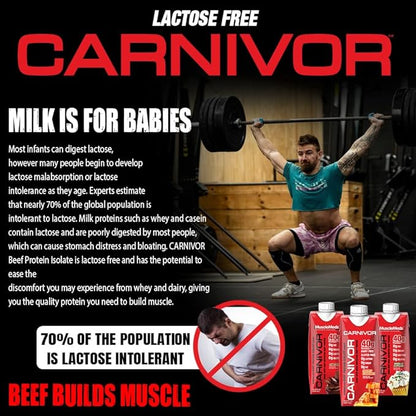 MuscleMeds Carnivor RTD, Ready to Drink Protein, Lactose Free, Sugar Free, 40g Isolate Protein, Muscle Building, Recovery, Chocolate, 16.9 Fl Oz (Pack of 12)