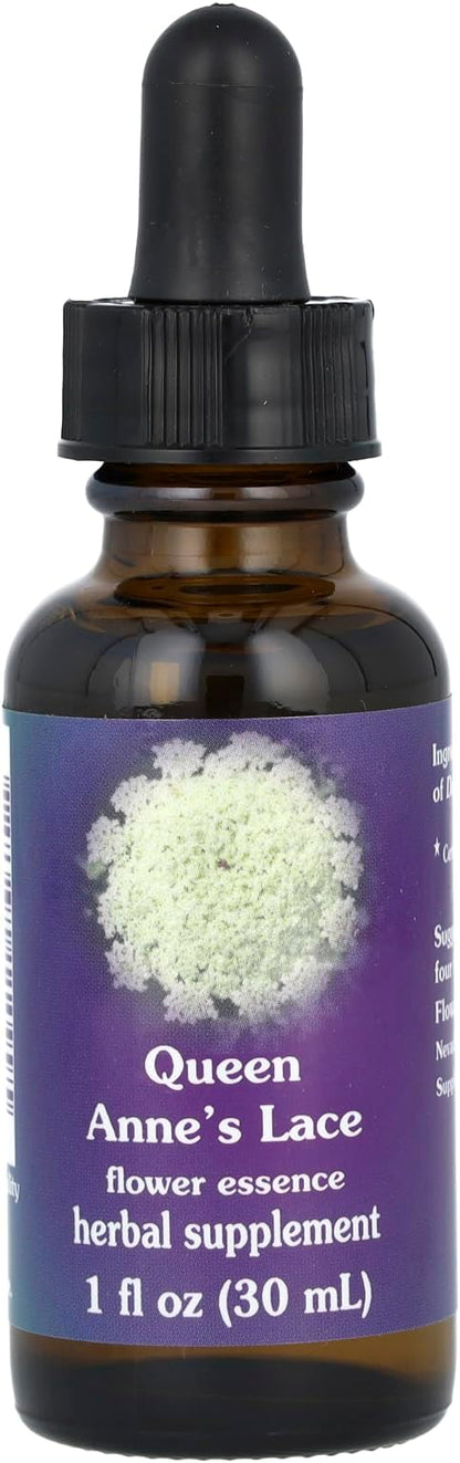 Flower Essence Services Dropper Herbal Supplements, Queen Annes Lace, 1 Ounce