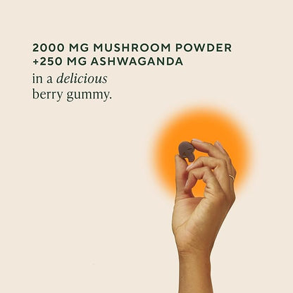 OM MUSHROOM SUPERFOOD Master Blend Mushroom Gummies – Organic 10-Mushroom Complex with Ashwagandha – Supports Immunity, Gut Health & Stress Relief – Mixed Berry Flavor – 28 Servings, 56 Count.
