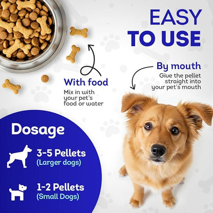 HealthyAnimals4Ever HA4E - Dog Yeast Protection - Homeopathic Support for Yeast Infections - All-Natural Preventive Care for Skin & Ear Health - 300 Tablets