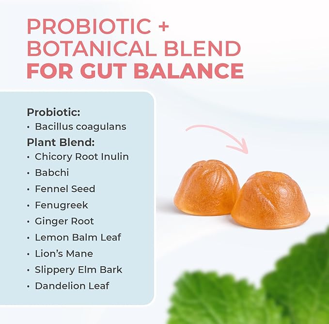 PrimeBiome Probiotic Gummies – Plant-Based Blend with Inulin, Lion’s Mane, Ginger & More– Non-GMO, No Stimulants, GMP Certified – 30 Gummies, 6 Month Supply