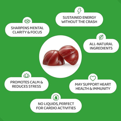 HOLYMARY Yerba Mate Gummies, Quince - Made with Organic, Unroasted Yerba Mate. Free from Added Caffeine. Vegan, Non-GMO, Gluten-Free, Kosher. 50 Delicious Supplement Gummies