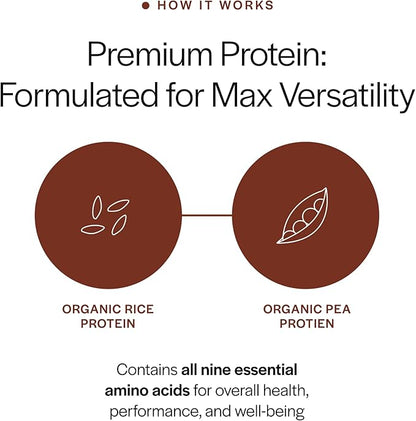 Gainful Everyday Plant Protein Powder, 23g Plant Protein per Serving, Unflavored, Supports Strength, Recovery, and Balanced Nutrition, Vegan, Gut Friendly, No Artificial Ingredients, 14 Servings