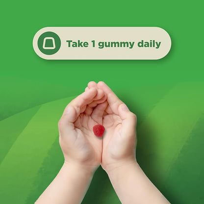 USDA Organic Kids Probiotic Gummies - Gut Bacteria Probiotics for Digestive Health & Stomach Relief - Gentle 2.5B CFU Kids Immune Support & Gut Heath Supplement - Vegan & Non-GMO Chews - 60 Count