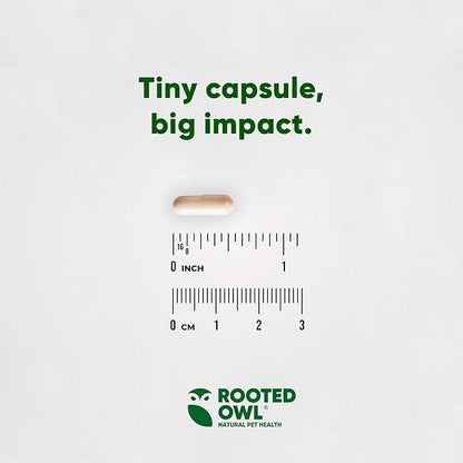 Rooted Owl Joint and Muscle Support for Large Dogs (Over 30 Lbs) - Supplement with UC-II Type II Collagen and L-Carnitine - 30 Count
