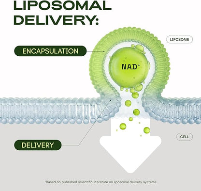 Liposomal NAD Supplement with Resveratrol – NMN Supplement Alternative – 90-Day Supply – Third-Party Tested – 180 Capsules – Advanced NAD+ Resveratrol - Pack of 3