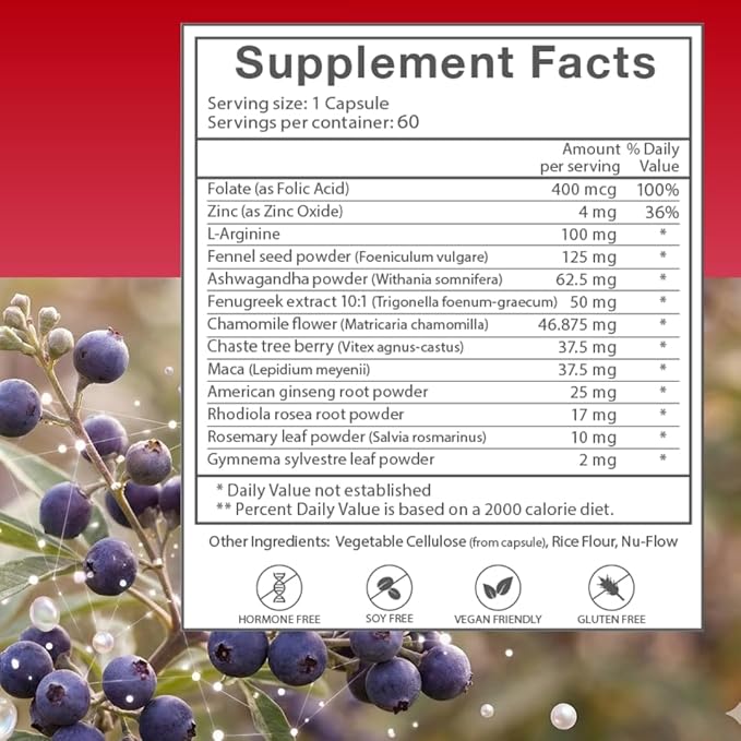 Vitex Chasteberry Supplement for Women – Non-Hormonal Menopause Support with Ashwagandha, Maca & Rhodiola – Hot Flashes, Night Sweats & Mood Support – Vegan, 60 Days Supply