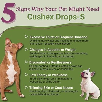 PetAlive Cushex Drops-S, Adrenal Gland Balance Herbal Pet Supplement, 2fl oz., 59ML