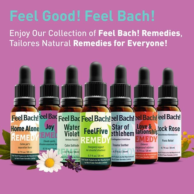 Feel Bach! Joy Remedy - Natural Homeopathic Flower Essences for Elevate Spirit and Dissolve Emotional Blocks - Free Your Emotions - Vegan, Gluten & Sugar-Free, Non-Habit Forming, 20ml (0.7 fl oz)