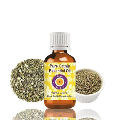 Deve Herbes Pure Catnip Essential Oil (Nepeta cataria) Steam Distilled 10ml (0.33 oz)