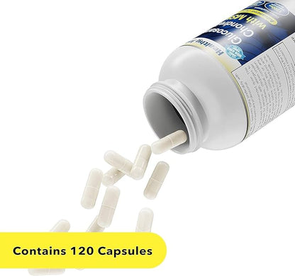 Glucosamine Chondroitin MSM Supplement for Joint & Bone Health - 120 Capsules | Joint Support & Discomfort Relief for Back, Knees, Hands