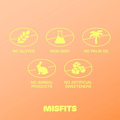 Misfits Vegan Protein Bars - Peanut Butter Fudge | Nutrition Bars - 14g Protein, 1g Sugar, Plant-based, Low Carb, Non-GMO, Gluten Free Snacks | Pack of 12