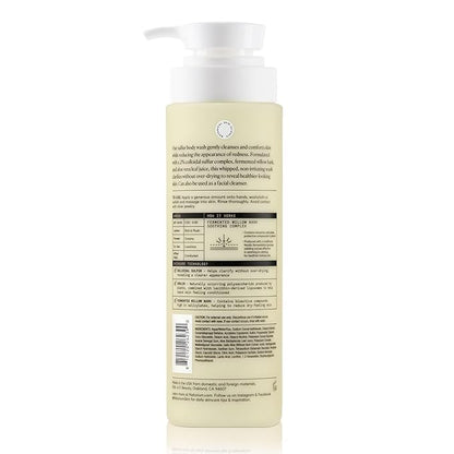 Naturium The Revealer Body Wash, Clarifying Skincare with Sulfur, Willow Bark, and Aloe Vera, 500 mL / 16.9 fl oz