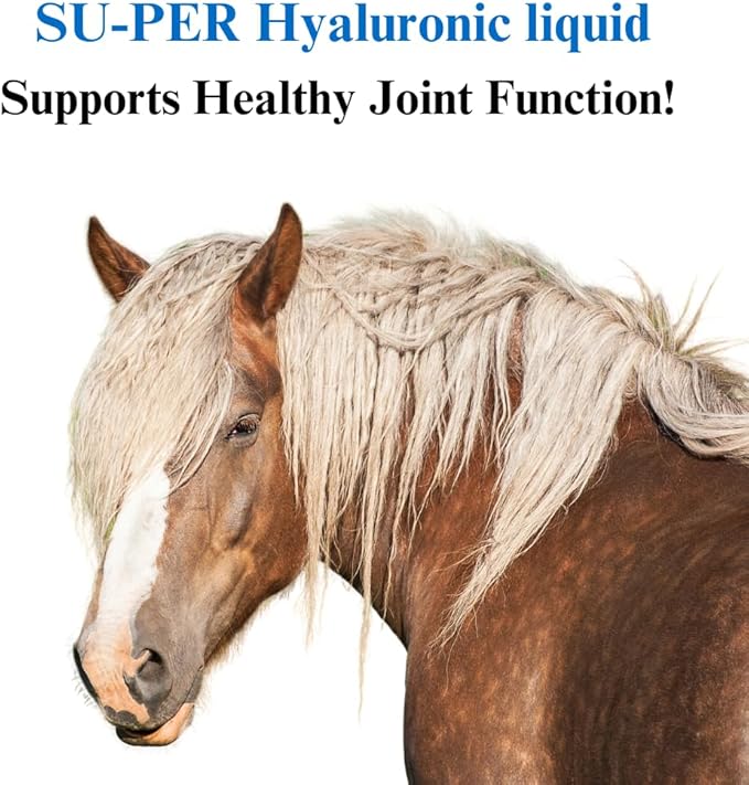 SU-PER Hyaluronic Joint Supplement for Horses - Supports Joints Health & Lubrication - Horse Hyaluronic Acid Liquid - 1 Gallon, 4 Month Supply