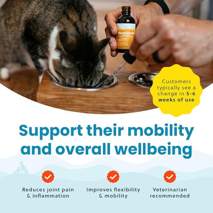 Paramount Pet Health Liquid Glucosamine Chondroitin MSM for Cats, Hip & Joint Support Supplement, Supports Mobility and Flexibility, Senior Cat Liquid Joint Supplement Drops for Daily Care, 2 oz