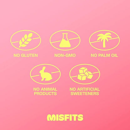 Misfits Vegan Protein Bars - Speculoos Cookie Butter | Nutrition Bars - 15g Protein, 1g Sugar, Plant-based, Low Carb, Non-GMO, Gluten Free Snacks | Pack of 12