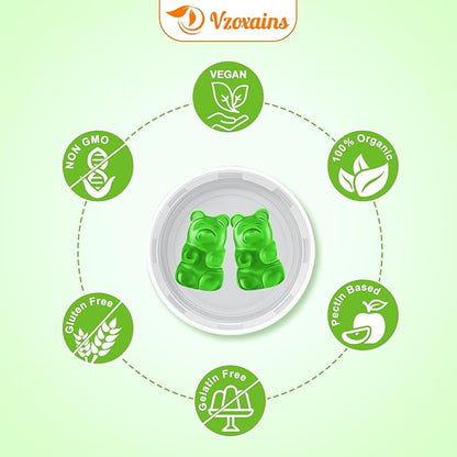 2 Packs 240mg Ginkgo Biloba Gummies, Supports Healthy Brain Function, Mood and Memory Support for Adults, 120 Cts