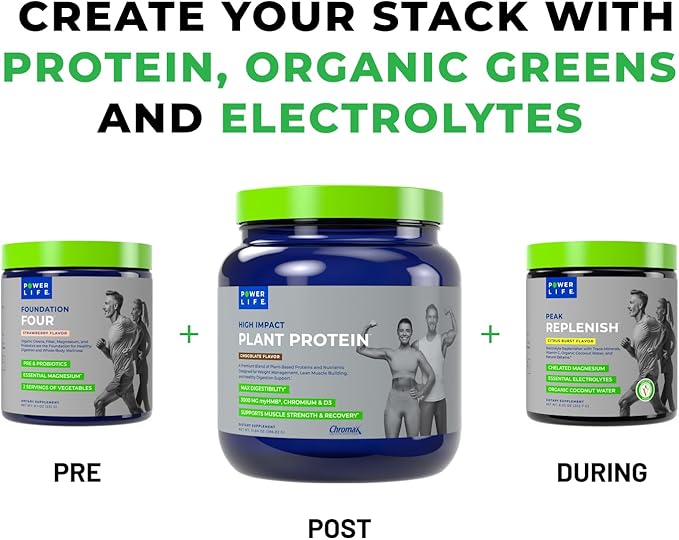 POWERLIFE High Impact Plant Protein Powder with 3000 MG of HMB, Plant-Based, No Sugar Added, Vegan, Keto Friendly, Non-GMO (Chocolate - New Formula)