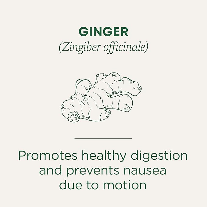 Traditional Medicinals Organic Ginger Herbal Tea, 16 Tea Bags (Pack of 1)