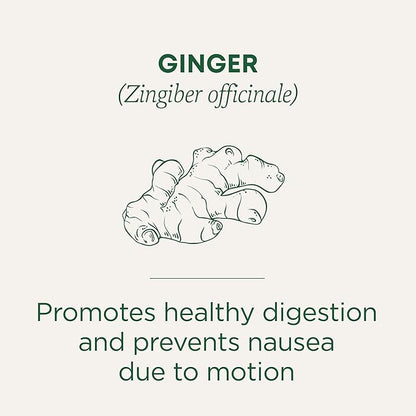 Traditional Medicinals Organic Ginger Herbal Tea, 16 Tea Bags (Pack of 1)