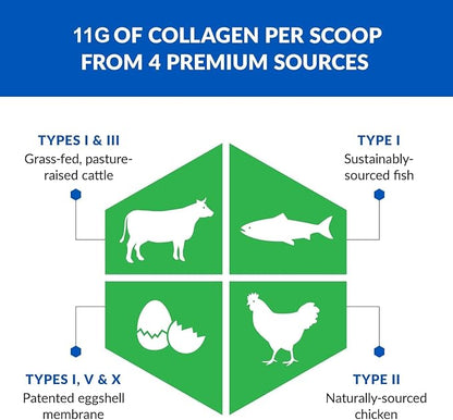 BioTrust Collagen Powder with Turmeric – 5 Types (I, II, III, V, X) – Turmeric Collagen Powder for Women & Men – Hydrolyzed Protein – Grass Fed Beef, Fish, Chicken, Eggshell Membrane (Golden Milk)
