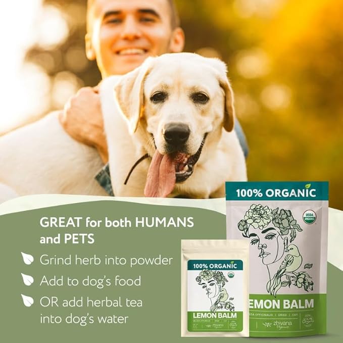 Organic Lemon Balm Tea Loose Leaf (4oz.) - Lemon Balm Leaves - Loose Leaf Melissa Tea - Te de Tolonjil - Natural Support for Stress Response, Sleep, Digestion