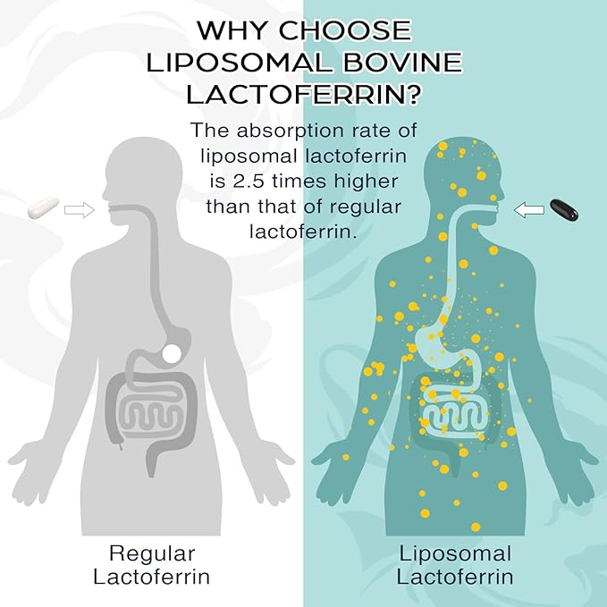 Liposomal Bovine Lactoferrin 1000 mg - for Iron Absorption & Immune Function Lactoferrin Supplements for Adults, 60 Softgels (2 Bottle)