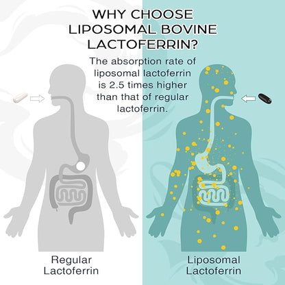 Liposomal Bovine Lactoferrin 1000 mg - for Iron Absorption & Immune Function Lactoferrin Supplements for Adults, 60 Softgels (2 Bottle)