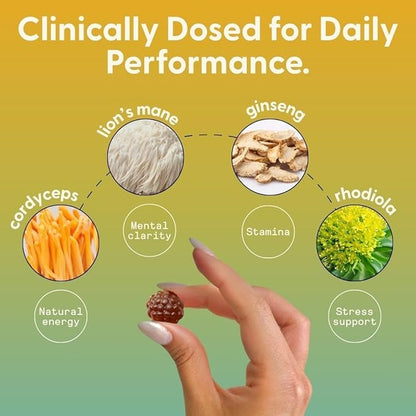 SuperMush Energy Mushroom Gummies - Organic Lions Mane Supplement with Cordyceps, Rhodiola, L-Theanine, Maca - Vegan & Sugar-Free - Energy, Focus, Stamina, Stress Reduction - 28 Gummies (14 Servings)