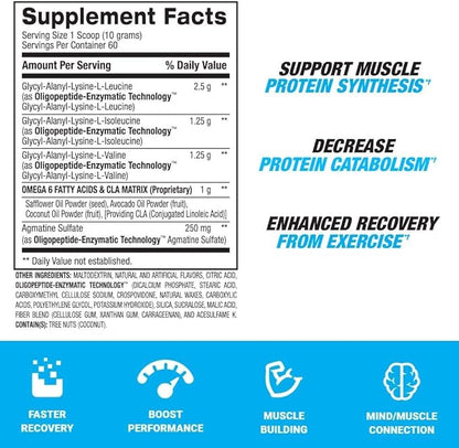 BPI Sports Best BCAA - BCAA Powder - Branched Chain Amino Acids - Muscle Recovery - Muscle Protein Synthesis - Lean Muscle - Improved Performance – Hydration – Fruit Punch - 60 Servings - 1.32 Pound