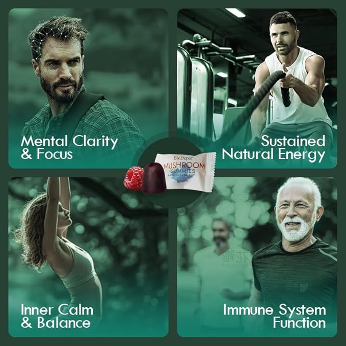Mushroom Daily Supplement All in One Gummie, 24 Mushroom Lions Mane Nootropic Supplements Boosts Memory, Focus, Energy & Mood in Adults - Reishi, Cordyceps, Turkey Tail, 80 Gummies