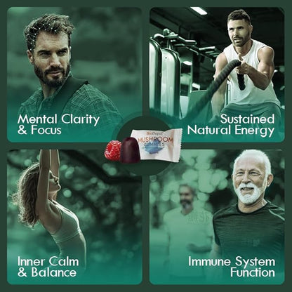 Mushroom Daily Supplement All in One Gummie, 24 Mushroom Lions Mane Nootropic Supplements Boosts Memory, Focus, Energy & Mood in Adults - Reishi, Cordyceps, Turkey Tail, 80 Gummies