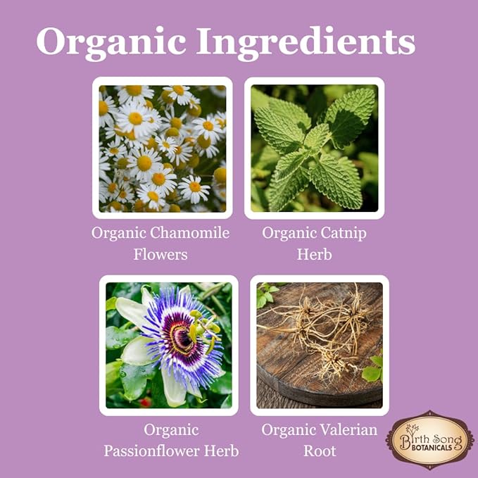 Birth Song Botanicals Children's Tranquility Tincture, Herbal Supplement with Valerian Root and Chamomile, 1oz Bottle Children's Herbal Immune Support, 1oz