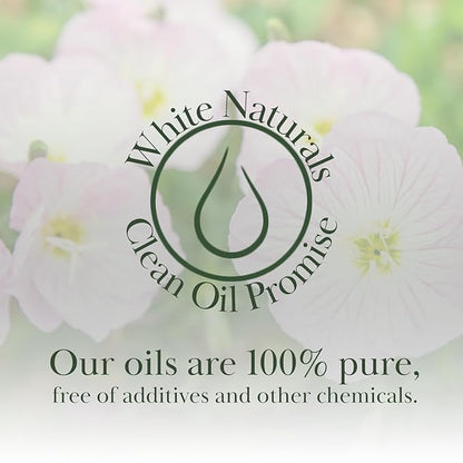 White Naturals Evening Primrose Carrier Oil – 100% Pure & Cold-Pressed, Lightweight & Nourishing Oil for Skin Care, Hair Care & DIY Beauty, 4oz