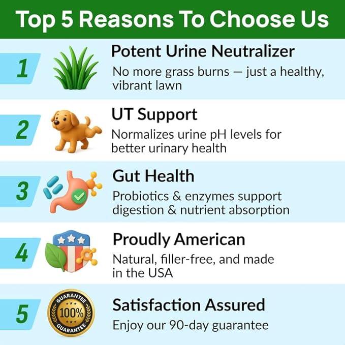 PAWFECTCHEW Green Grass Dog Chews with Probiotics – Lawn Burn Support – Dog Urine Neutralizer for Grass – Pee Spot Control – Gut & Urinary Health – 240Ct