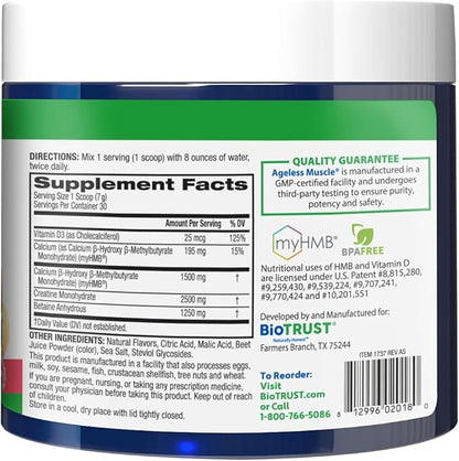 BioTrust Ageless Muscle Builder - Creatine HMB Powder with Vitamin D3 & Betaine - Build & Preserve Naturally Declining Muscle Mass & Strength - Fruit Punch, 60 Servings